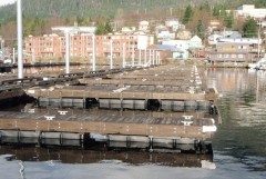 bar-harbor